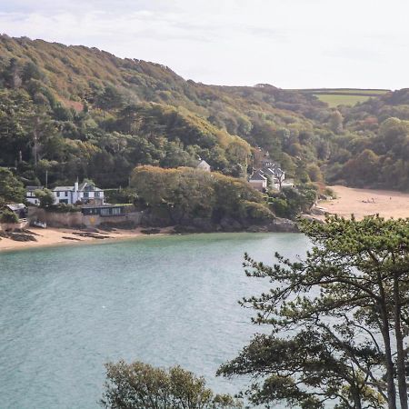 Willa 2 Poundstone Court Salcombe Zewnętrze zdjęcie
